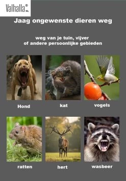 Valhalla NL - Kattenverjager - Ongedierte Verjager - Outdoor - Kunststof - Groen - 16x13x11 Cm -Gardena Winkel 836x1200 3