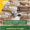 ECOstyle Aaltjes Tegen Rouwvliegjes (Varenrouwmug) - Bestrijdingsmiddel Insecten - Natuurlijk & Biologisch - Tegen Bladschade - Jaarrond Te Gebruiken - Werken 24 Uur Per Dag - Voor 25 Kamerplanten - 10 M²