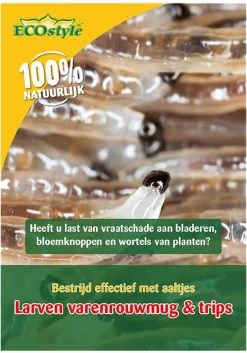 ECOstyle Aaltjes Tegen Rouwvliegjes (Varenrouwmug) - Bestrijdingsmiddel Insecten - Natuurlijk & Biologisch - Tegen Bladschade - Jaarrond Te Gebruiken - Werken 24 Uur Per Dag - Voor 25 Kamerplanten - 10 M²