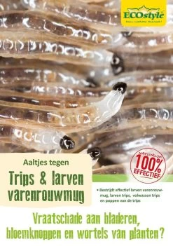 ECOstyle Aaltjes Tegen Rouwvliegjes (Varenrouwmug) - Bestrijdingsmiddel Insecten - Natuurlijk & Biologisch - Tegen Bladschade - Jaarrond Te Gebruiken - Werken 24 Uur Per Dag - Voor 25 Kamerplanten - 10 M² -Gardena Winkel 845x1200 4