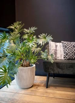 Capi Europe - Bloempot Bol Groove NL - 43x41 - Zwart - Voor Binnen En Buiten - KGVBL933 -Gardena Winkel 883x1200 5