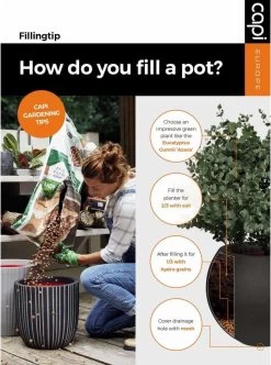 Capi Europe - Bloempot Bol Smooth NL - 54x52 - Zwart - Voor Binnen En Buiten - KBL935 -Gardena Winkel 892x1200 3