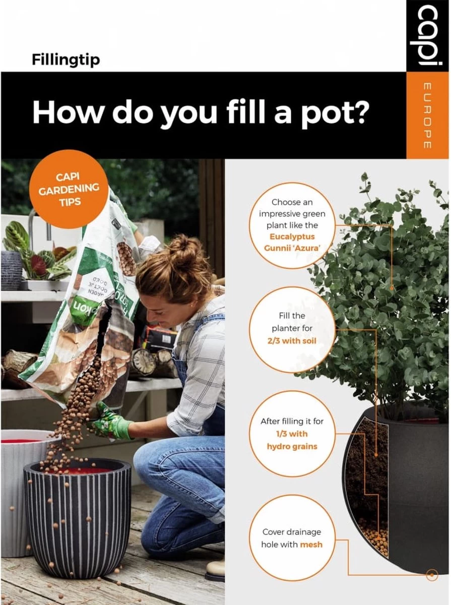 Capi Europe - Vaas Elegant Laag Groove NL - 34x46 - Goud - Voor Binnen En Buiten - KGVGB782 7 Capi Europe - Vaas Elegant Laag Groove NL - 34x46 - Goud - Voor Binnen En Buiten - KGVGB782 - Afbeelding 7