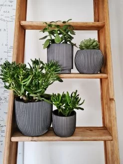 Capi Europe - Set Van 4 - Bloempot Binnen - Groove - Antraciet -Gardena Winkel 899x1200 26