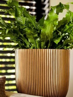 Capi Europe - Bloempot Bol Groove - 23x21 - Goud - Bloempot Voor Binnen - BGVGB134 -Gardena Winkel 900x1200 25