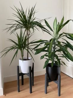 Plantenstandaard Binnen - Set Van 2 - Diameter Tot 24 Cm - Plantenkruk - Bloempotten Voor Binnen - Plantentafeltje Voor Binnen - Bloempot Standaard - Plantenstandaard - Hout - Mat Zwart/Donkergrijs -Gardena Winkel 900x1200 31