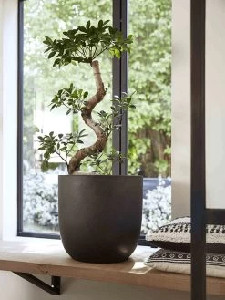 Capi Europe - Bloempot Bol Smooth NL - 54x52 - Zwart - Voor Binnen En Buiten - KBL935 -Gardena Winkel 900x1200 34