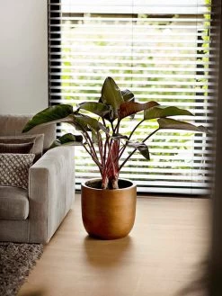 Capi Europe - Bloempot Bol Retro XL - 42x41 - Goud - Bloempot Voor Binnen - Opening ⌀36 - RTG933 -Gardena Winkel 900x1200 37