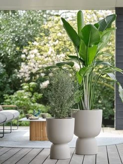 Elho Pure Coupe 41 - Bloempot Voor Binnen & Buiten - Ø 41.3 X H 57.9 Cm - Beige/Balanced Beige -Gardena Winkel 900x1200 40