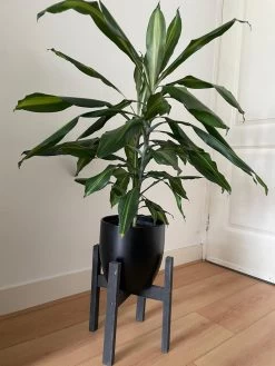 Plantenstandaard Binnen - Diameter Tot 24 Cm - Plantenkruk - Bloempotten Voor Binnen - Plantentafeltje Voor Binnen - Bloempot Standaard | Plantenstandaard - Hout - Mat Zwart -Gardena Winkel 900x1200 43