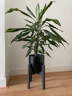 Plantenstandaard Binnen - Diameter Tot 24 Cm - Plantenkruk - Bloempotten Voor Binnen - Plantentafeltje Voor Binnen - Bloempot Standaard | Plantenstandaard - Hout - Mat Zwart -Gardena Winkel 900x1200 44