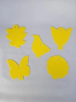 Rouwvliegjes Bestrijden - Voordeelpakket - Aaltjes En Plakkaartjes - Vliegjes In Plant - Varenrouwmug - Vangplaatjes - Decofixer - Aaltjes - Varenrouwmugpakket 9 Rouwvliegjes Bestrijden - Voordeelpakket - Aaltjes En Plakkaartjes - Vliegjes In Plant - Varenrouwmug - Vangplaatjes - Decofixer - Aaltjes - Varenrouwmugpakket -Gardena Winkel 900x1200 62