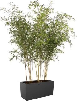 Elho Vivo Matt Finish Lang Wielen 90 - Grote Staande Plantenbak Voor Binnen & Buiten - Gemaakt Van Gereycled Plastic - L 39 X W 88 X H 41 Cm - Zwart -Gardena Winkel 911x1200 4