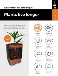 Capi Europe - Bloempot Bol Smooth NL - 43x41 - Zwart - Voor Binnen En Buiten - KBL933 -Gardena Winkel 917x1200 2