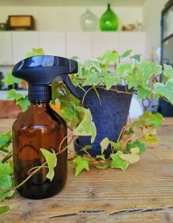 24DOTS Living Plantenspuit | 300 Ml Bruin Amber Glas | Plantensproeier | Plantenspuit Binnen | Waterverstuiver | Vernevelaar -Gardena Winkel 932x1200