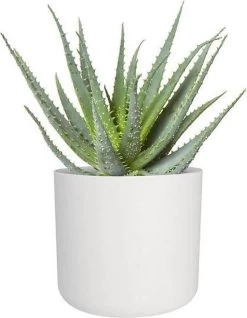 Elho B.for Soft Rond 30 - Bloempot Voor Binnen - Ø 29.5 X H 27.6 Cm - Wit -Gardena Winkel 932x1200 6