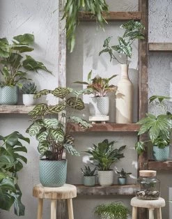 Mica Decorations Daan Bloempot - H17,5 X Ø19 Cm - Groen 9 Mica Decorations Daan Bloempot - H17,5 X Ø19 Cm - Groen -Gardena Winkel 943x1200 5