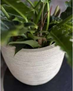 Capi Europe - Bloempot Bol Waste Rib NL - 43x41 - Terrazzo Beige - Voor Binnen En Buiten - KTBR933 -Gardena Winkel 960x1200 20