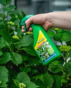 ECOstyle Promanal-R Spray Gebruiksklaar - Insecten Bestrijdingsmiddel Voor Spint, Wolluis En Dopluis - Binnens- En Buitenshuis- 100% Plantaardig - 500 ML -Gardena Winkel 960x1200 22