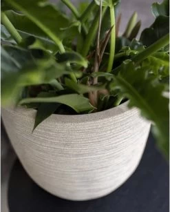 Capi Europe - Bloempot Bol Waste Rib NL - 35x34 - Terrazzo Beige - Voor Binnen En Buiten - KTBR932 -Gardena Winkel 967x1200 1