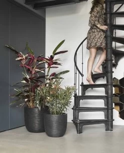 Capi Europe - Bloempot Bol Rib NL - 54x52 - Zwart - Voor Binnen En Buiten - KBLR935 -Gardena Winkel 972x1200 5