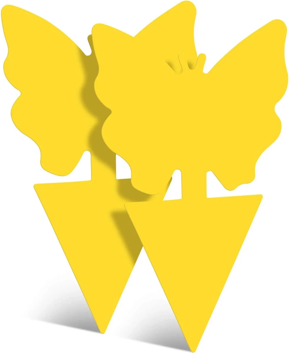 Rouwvliegjes Bestrijden - Fruitvliegjes Vanger - Varenrouwmug Bestrijden - Vangplaten 8 Rouwvliegjes Bestrijden - Fruitvliegjes Vanger - Varenrouwmug Bestrijden - Vangplaten - Afbeelding 8