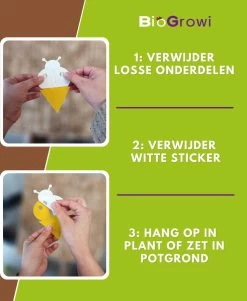 Biofixer - 10 Vangkaartjes - Rouwvliegjes Bestrijden - Varenrouwmug Bestrijden - Vangplaatjes Tegen Rouwvliegjes - Plakstrips - Vangplaten 10 Biofixer - 10 Vangkaartjes - Rouwvliegjes Bestrijden - Varenrouwmug Bestrijden - Vangplaatjes Tegen Rouwvliegjes - Plakstrips - Vangplaten -Gardena Winkel 985x1200 5