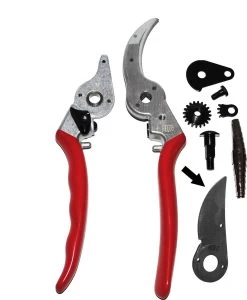 Felco 2 + GRATIS Felco Handschoenen In Cadeauverpakking -Gardena Winkel 987x1200