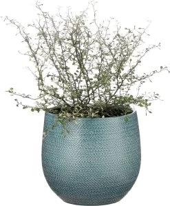 Mica Decorations Gabriel Bloempot - H20 X Ø25 Cm - Keramiek - Blauw -Gardena Winkel 990x1200 2