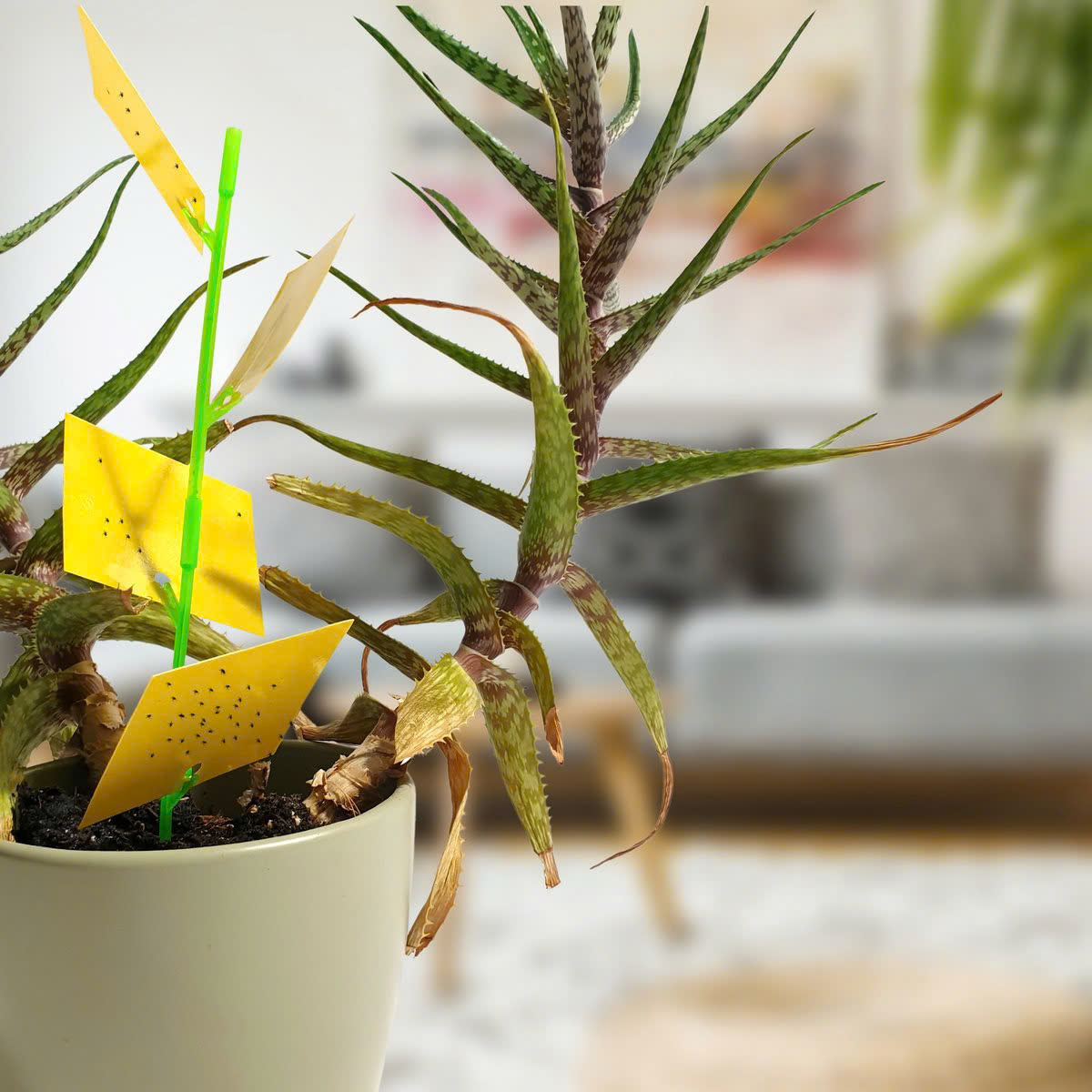 Gardena Winkel -Gardena Winkel z6553234218567 b67ad9475a0396d81251a4939beffd77